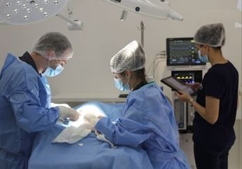 cirurgia veterinária
