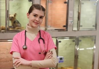 veterinário para cachorro em blumenau
